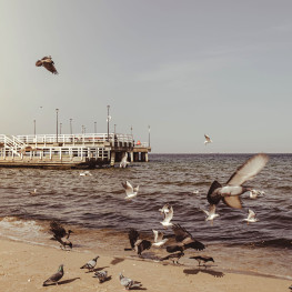 Najpiękniejsze plaże nad Bałtykiem - moja lista top 3