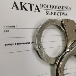 Ukradł Nissana i biżuterię. W aucie policjanci znaleźli skradzionego psa