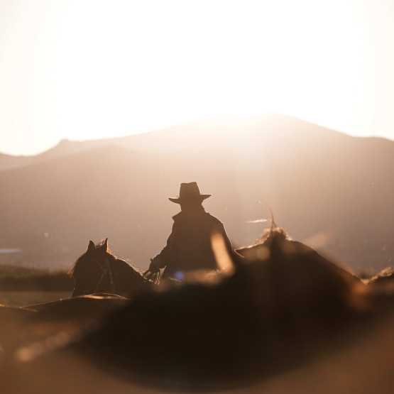 Cowboy